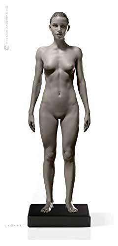 anatomy tools female figure in grey