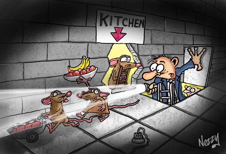 fun to draw by nezzy cartoonist rats stealing from kitchen